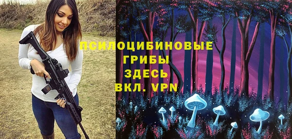 PSILOCYBIN Белокуриха