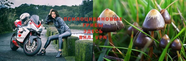 кокс Беломорск
