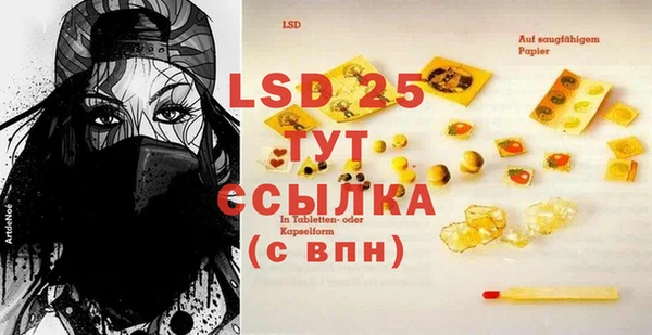 PSILOCYBIN Белокуриха