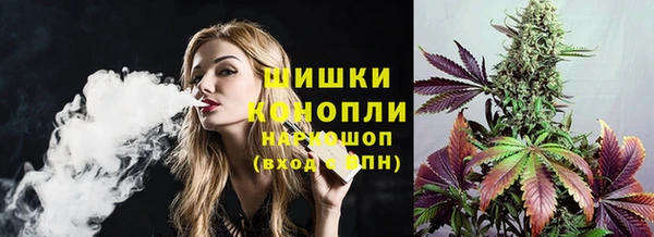 PSILOCYBIN Белокуриха
