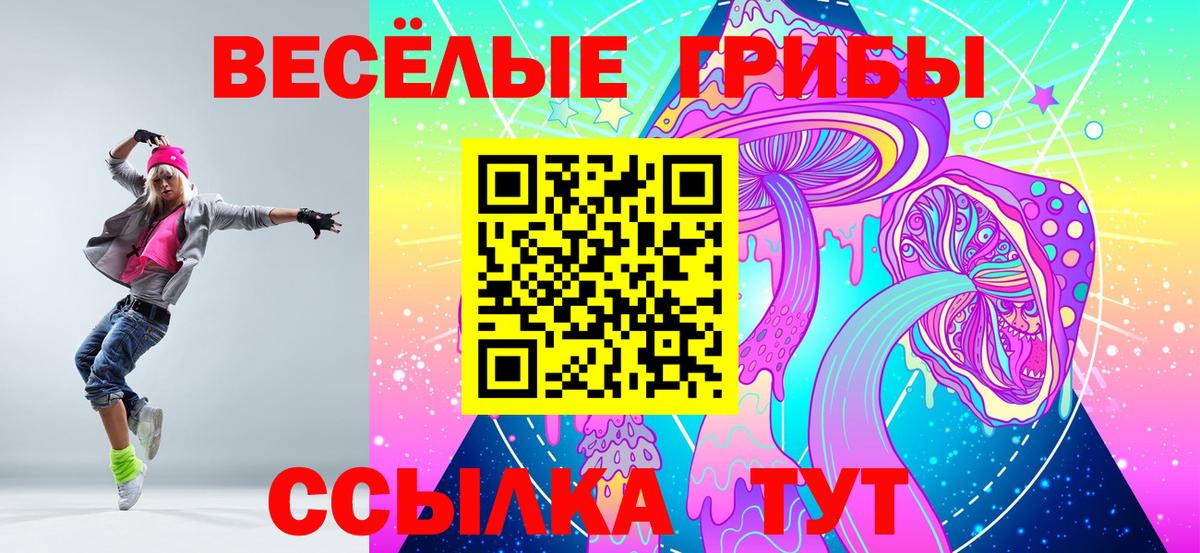 Галлюциногенные грибы GOLDEN TEACHER Горно-Алтайск