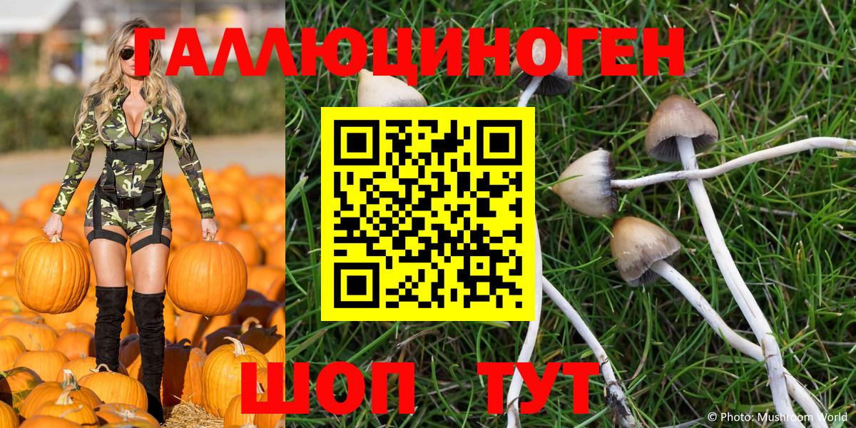 Галлюциногенные грибы Magic Shrooms  Горно-Алтайск  Псилоцибиновые грибы Psilocybe 